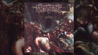 Saprogenic - Gluttonous Consumption