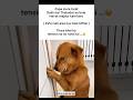Dogesh bhai 💕💕💕💕💕💕💕 Viral #new #trendingnow