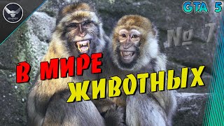 GTA5 Вмире животных!!! №7