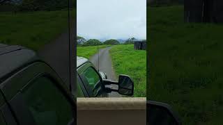 Kualoa Ranch   Jungle Expedition Tour Part 1