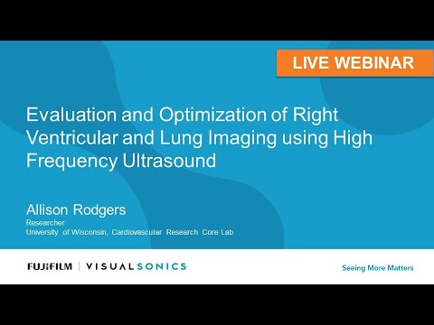Evaluation and Optimization of Right Ventricular and Lung Imaging using High Frequency Ultrasound