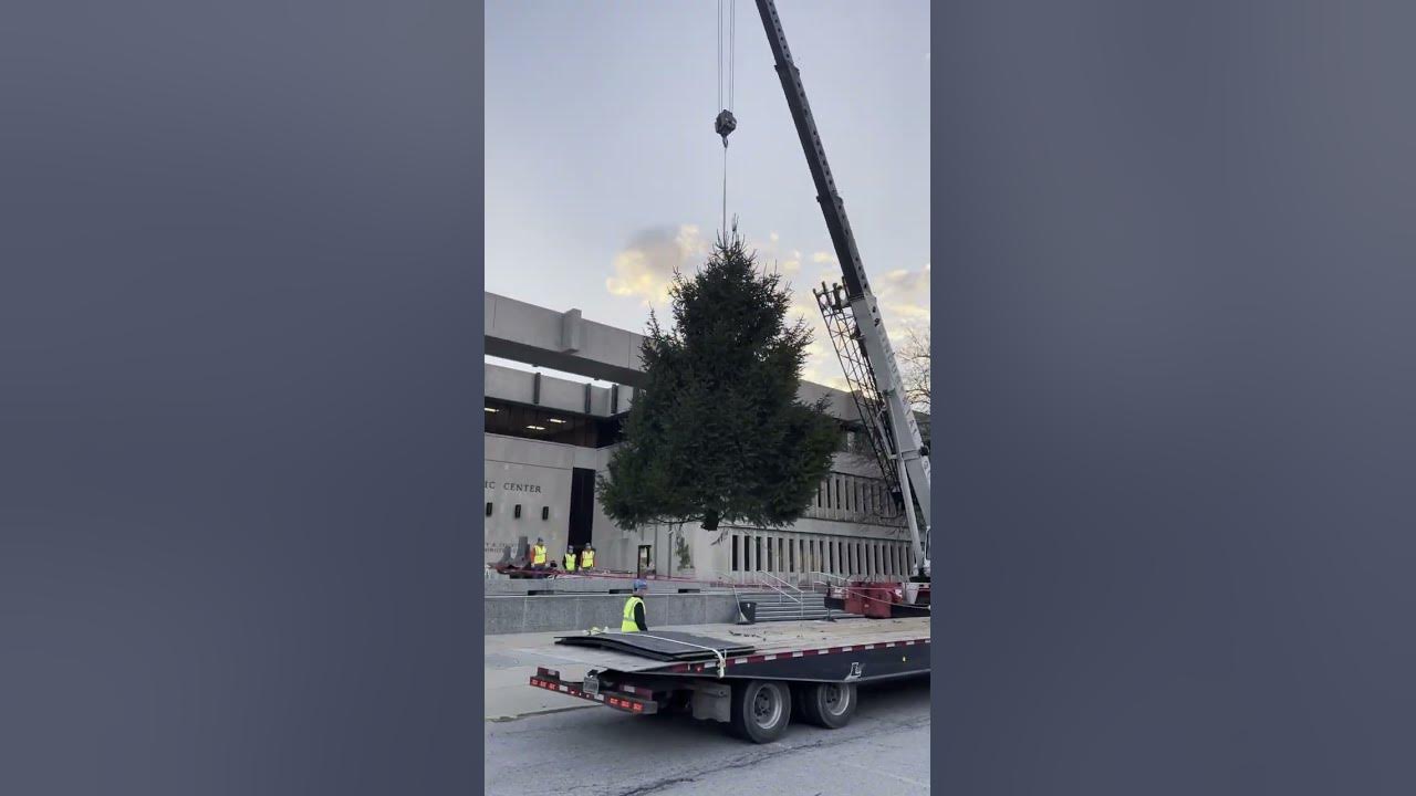 2022 City of Evansville Christmas Tree Arrives at Civic Center YouTube