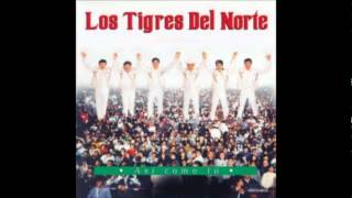 Video thumbnail of "Enseñate a respetar Los Tigres del Norte"