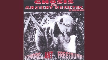 Found Identity ft. Vast Visions