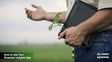 Granular Insights App: Understanding Your Fields