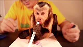 Monkey Learning to Draw a Picture! (Art Lesson)