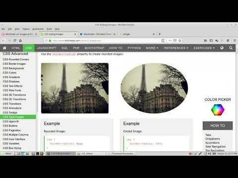 4 webdev css reference