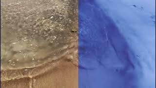 Joakim - The Immortal Toad (Official Video)