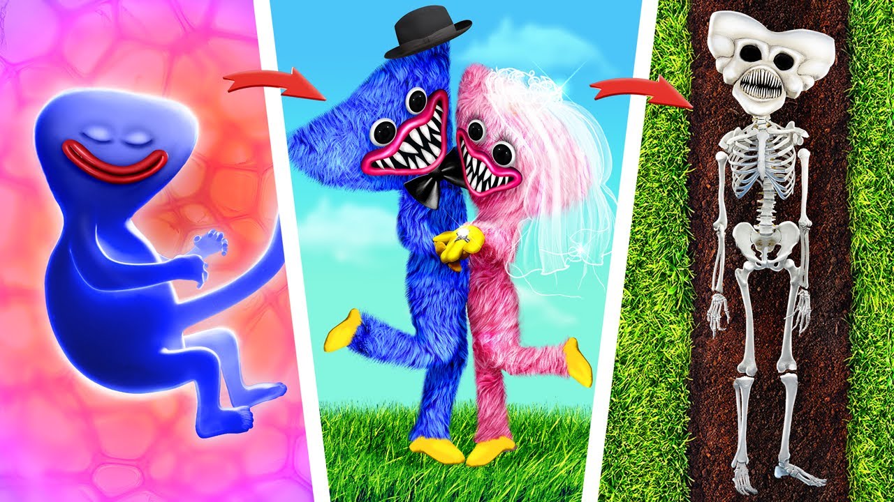 هاجى ووجى من الميلاد حتى الموت