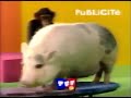 TFOU - Jingles Pub 1997 - 1999