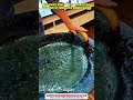 Resonance Bowl — best observation replaced by innovative understanding