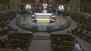 National Shrine of the Little Flower Livestream