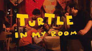 BFDC - Turtle in my room [TINY]