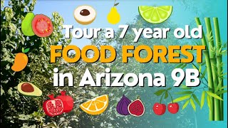 Tour a 7 Year Old Sub Tropical Food Forest in Arizona Desert (Fall 2023)