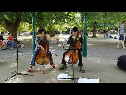 Avicii - Wake Me Up - Cello Cover by 2Chams