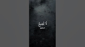 تـِلاوة مِـن سُـورة هود | القارئ : رعد محمد الكردي