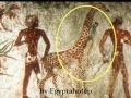 EGYPT 469 - CURIOUS,AMAZING & UNUSUAL Images - ( by Egyptahotep)