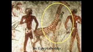 Egypt 469 - Curiousamazing Unusual Images - By Egyptahotep