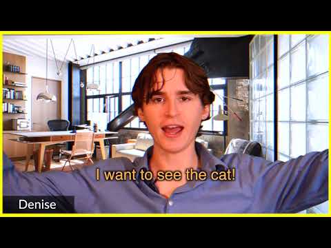 work from home - let me meet your cat