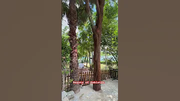 Mabali Island Youtube Shorts 