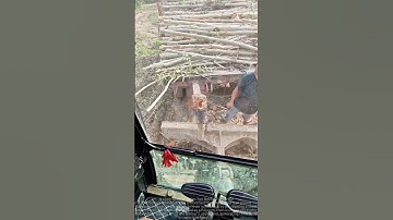 Truck tailboard timber unloading