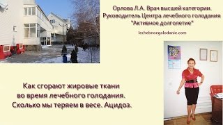 Как сгорают жировые ткани во время лечебного голодания. Сколько мы теряем в весе. Ацидоз. Как сгорают жировые ткани во время лечебного голодания. Сколько мы теряем в весе. Ацидоз.