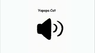 Yapapa Cat