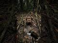 The Amazon's biggest nightmare 🌴🕷️💀