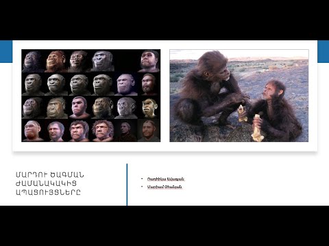Video: Մարդու ծագման առեղծվածը. տեսություններ և փաստեր, մարդկության առեղծվածները