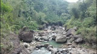 Download lagu back sound petualangan no copyright back sound youtuber mp3