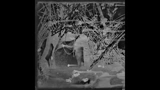Tessela - Hackney Parrot (Disaffected Bootleg)