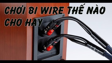 Chơi Bi wire có hay không,phân biệt ampli có Bi wire cực kì dễ