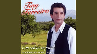 Video thumbnail of "Tiny Ferreiro - Cantinera (Pasodoble Version)"