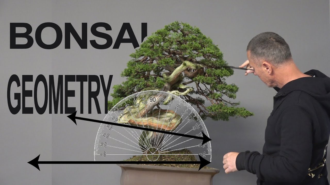 Bonsai geometry