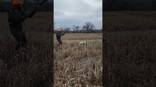 Bird hunting with my friend. 1st time