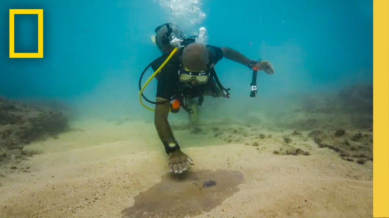 Dr. Kathleen Martinez Discovers an Ancient Port: Unveiling Cleopatra’s Last Secret | National Geographic – Video