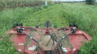 We bought a Bush Hog-BIG things coming up!