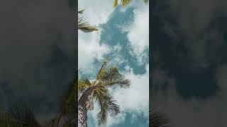 Ice cream (Short ver.) #shorts #EDM #JapaneseAesthetic #Futurebass #AIMusic #Freely