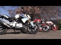 KTM 390 Duke vs. BMW G310R vs. Ducati Scrambler Sixty2, Part 2