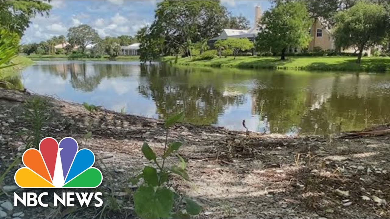 85-year-old Florida woman dead after alligator attacks while she ...
