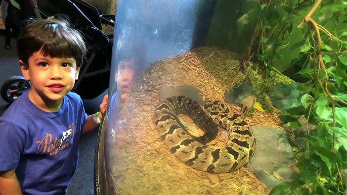 Liberty Science Center :: Wild About Animals