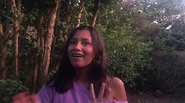 Worldpackers Introduction Video🌎