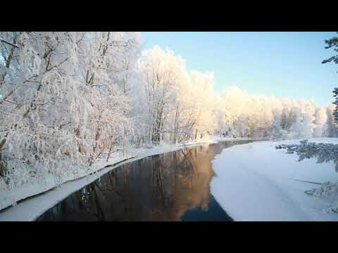 Video: Mitä Asiakirjoja Tarvitaan Suomen Viisumille