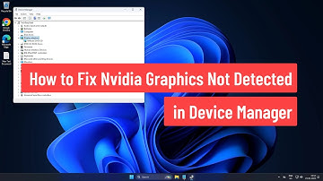 How to Fix Nvidia Graphics Not Detected in Device Manager on Windows 11/10/8/7 (2025)