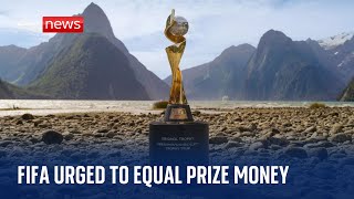 UN urges FIFA to make good on equal prize money promise by next Women's World Cup