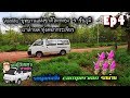 Ep4 vanlife รถตู้วินเทจสายชิว รถบ้าน campervan อุทยานแห่งชาติไทรทอง ทุ่งดอกระเจียว ผาหำหด