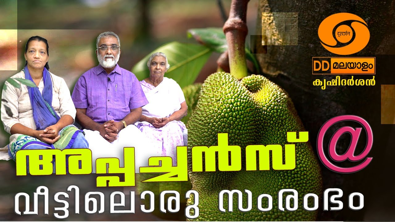 Appachans @ Veettil Oru Samrambham I KRISHIDARSHAN I DD MALAYALAM