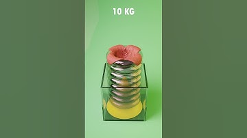 0.1 KG VS 1000 KG 3D Cloth Simulation 😃🔥 #3danimation #3d #blender3d #satisfying #shorts #animation