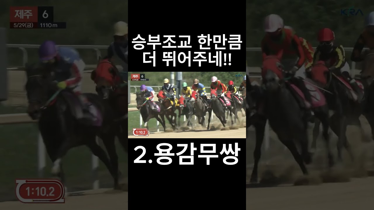 승부조교 한만큼 더뛰어주네  #경마  #경마예상  #경마방송  #경마예상방송  #서울경마  #금요경마  #토요경마  #일요경마 #경마장