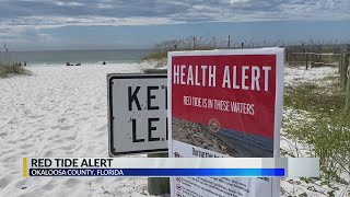 Red tide present at beaches in Destin, Fort Walton Beach